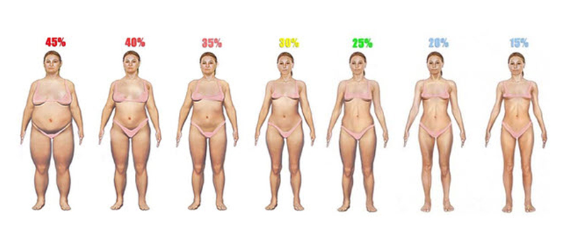 Ideal Body Fat Composition 98
