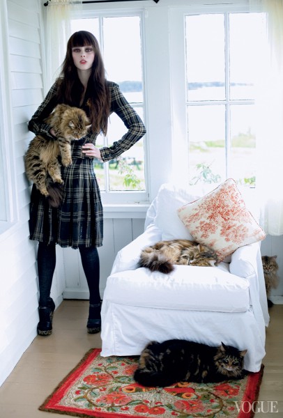 Fashion-Cats-in-Vogue-15