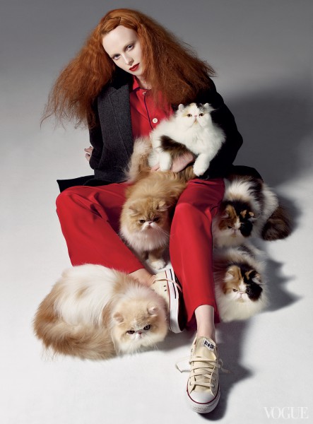 Fashion-Cats-in-Vogue-3