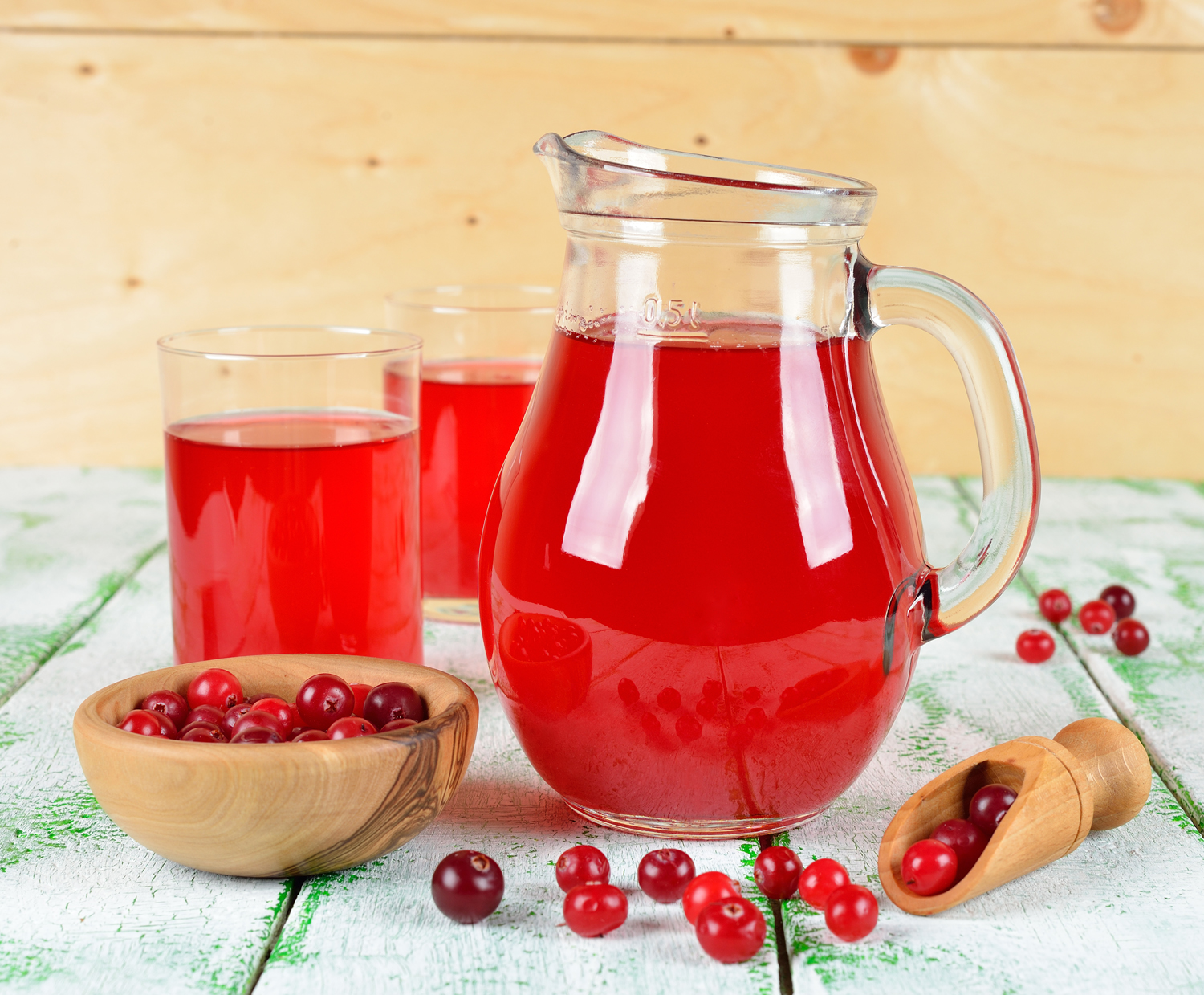 Healthy-Cranberry-Juice-Drink-Recipes-2