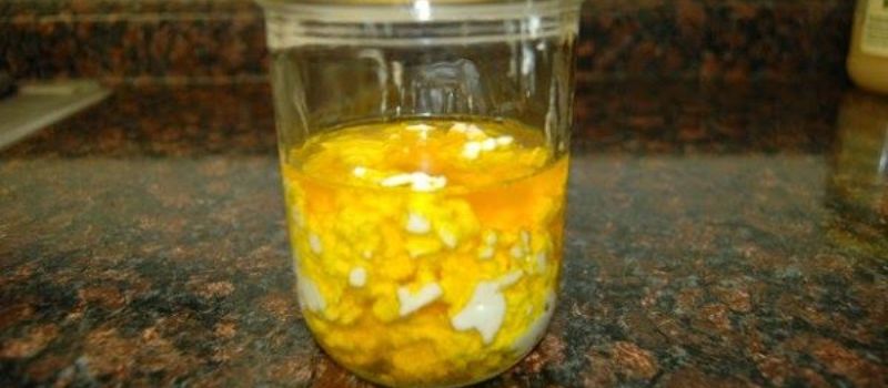 Cottage Cheese And Flaxseed Oil Mixture Archives Women Daily