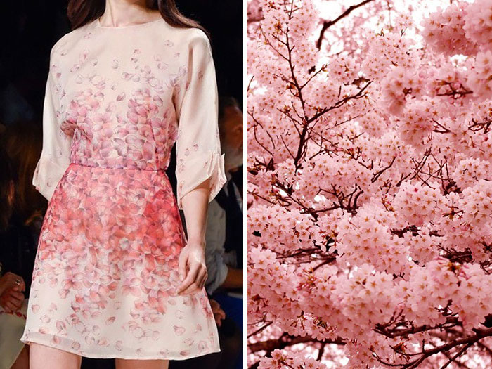 Fashion-and-Nature-A-Russian-Artists-Compares-Designer-Dresses-with-Nature-12