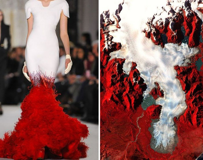 Fashion-and-Nature-A-Russian-Artists-Compares-Designer-Dresses-with-Nature-14