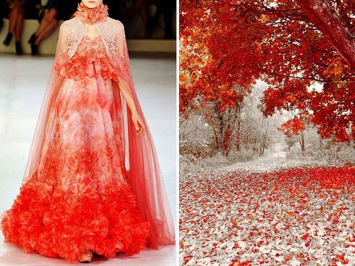 Fashion-and-Nature-A-Russian-Artists-Compares-Designer-Dresses-with-Nature-16