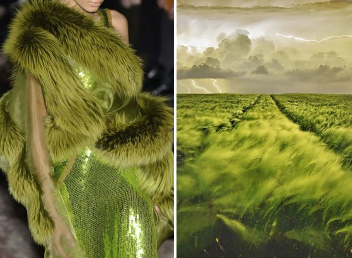 Fashion-and-Nature-A-Russian-Artists-Compares-Designer-Dresses-with-Nature-17