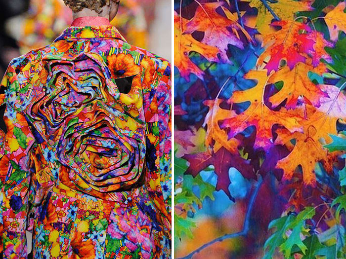 Fashion-and-Nature-A-Russian-Artists-Compares-Designer-Dresses-with-Nature-18