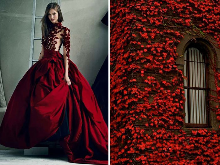 Fashion-and-Nature-A-Russian-Artists-Compares-Designer-Dresses-with-Nature-2