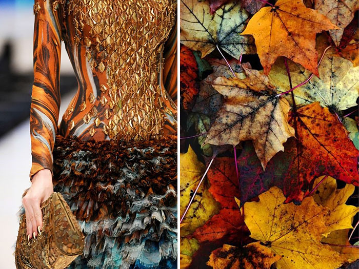 Fashion-and-Nature-A-Russian-Artists-Compares-Designer-Dresses-with-Nature-20