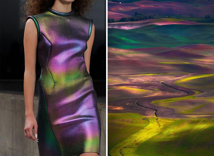 Fashion-and-Nature-A-Russian-Artists-Compares-Designer-Dresses-with-Nature-5