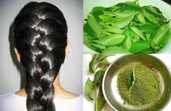 Homemade-Curry-Leaf-Powder-That-Will-Prevent-Hair-Loss-and-Promotes-Hair-Regrowth-1