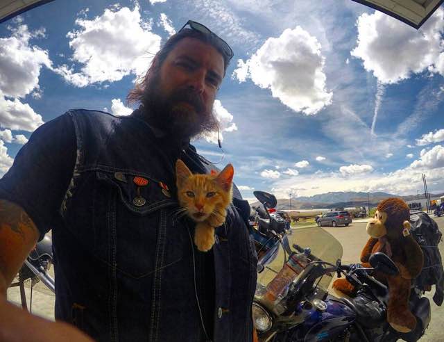 A-Biker-Saves-a-Kitty-And-Does-a-Cross-Country-Trip-With-Him-6