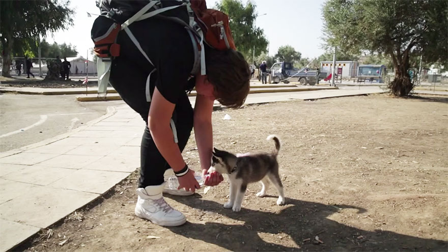 The-17-Year-Old-Syrian-Refugee-Carried-His-Puppy-310-Miles-to-Greece-3