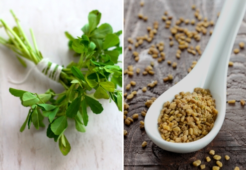 The Seeds That Can Help You Increase The Size of Your ...