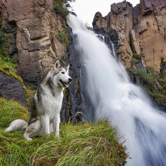 Wonderful-Photos-of-a-Man-Who-Has-Amazing-Traveling-Adventures-With-His-Dog-11