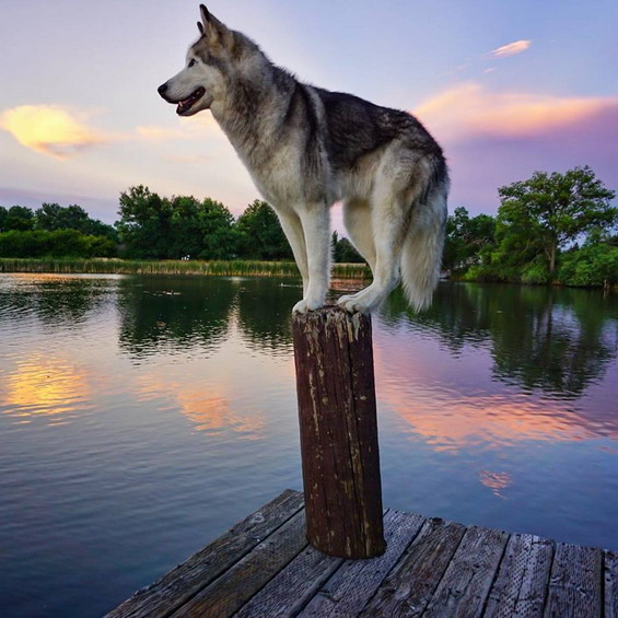 Wonderful-Photos-of-a-Man-Who-Has-Amazing-Traveling-Adventures-With-His-Dog-14