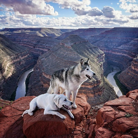 Wonderful-Photos-of-a-Man-Who-Has-Amazing-Traveling-Adventures-With-His-Dog-16