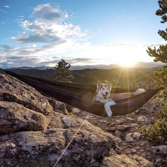Wonderful-Photos-of-a-Man-Who-Has-Amazing-Traveling-Adventures-With-His-Dog-21