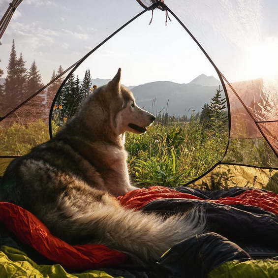 Wonderful-Photos-of-a-Man-Who-Has-Amazing-Traveling-Adventures-With-His-Dog-22