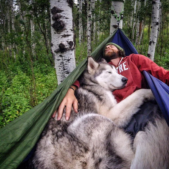 Wonderful-Photos-of-a-Man-Who-Has-Amazing-Traveling-Adventures-With-His-Dog-3