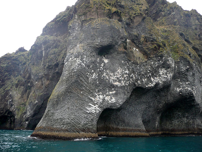 A-Giant-Sea-Elephant-Emerges-From-The-Ocean-In-Iceland-3