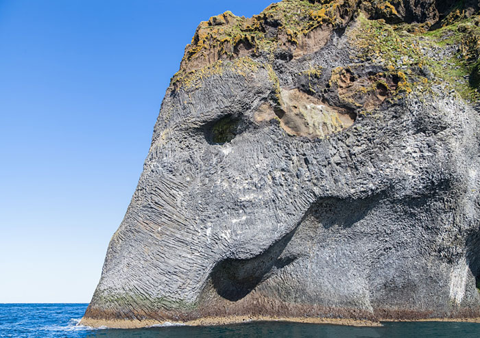 A-Giant-Sea-Elephant-Emerges-From-The-Ocean-In-Iceland-4