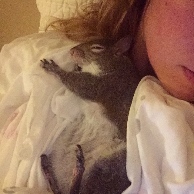 A-Squirrel-Rescued-From-a-Hurricane-is-The-Cutest-Family-Member-17
