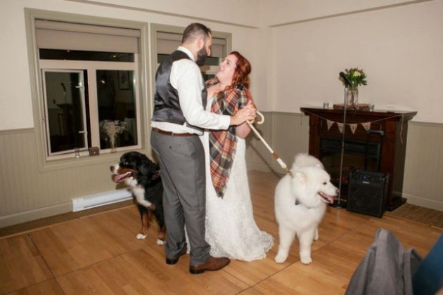 4-Dogs-Were-the-Stars-at-Their-Owners-Wedding-4