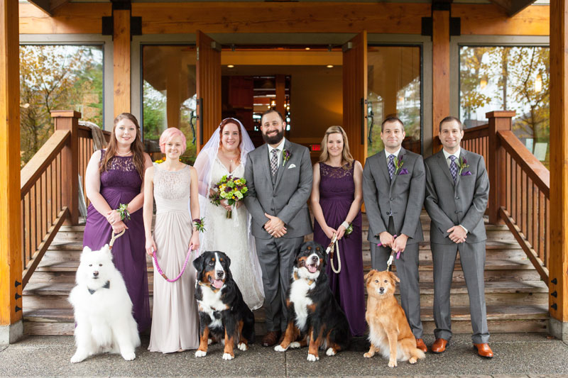 4-Dogs-Were-the-Stars-at-Their-Owners-Wedding-5