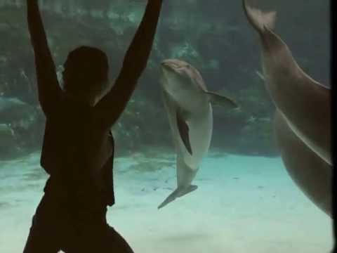 The-Girl-That-Managed-to-Make-the-Dolphin-Laugh-1