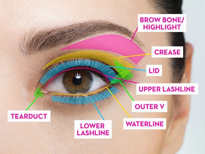 Makeup For Beginners : How To Apply Makeup Step By Step!
