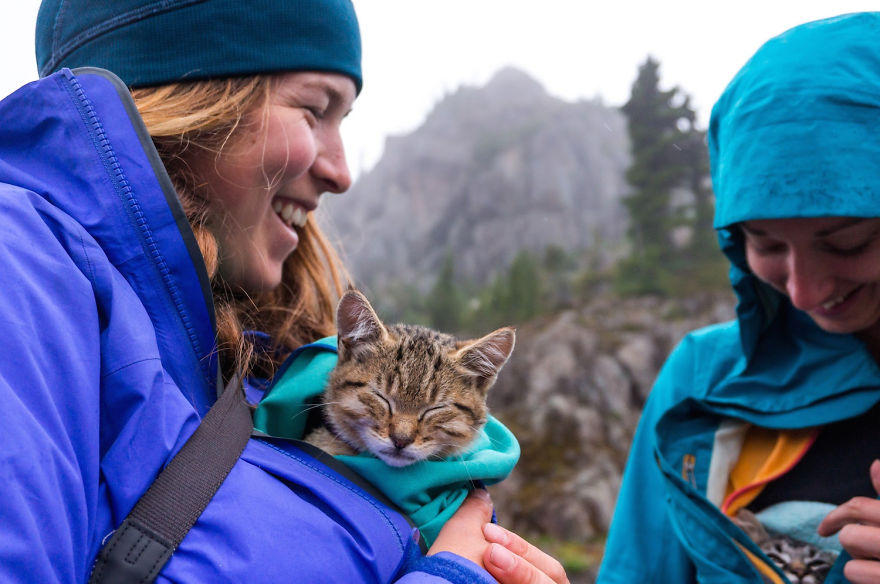 Abandoned-Kitties-Found-Their-Humans-and-Now-They-go-on-Epic-Adventures-With-Them-12