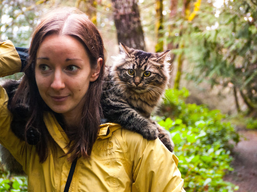 Abandoned-Kitties-Found-Their-Humans-and-Now-They-go-on-Epic-Adventures-With-Them-14
