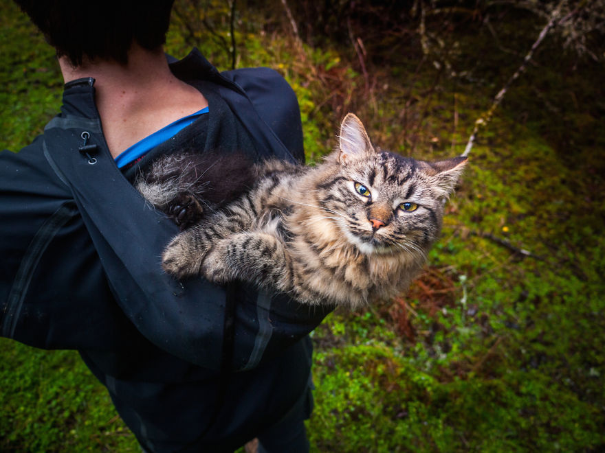 Abandoned-Kitties-Found-Their-Humans-and-Now-They-go-on-Epic-Adventures-With-Them-4