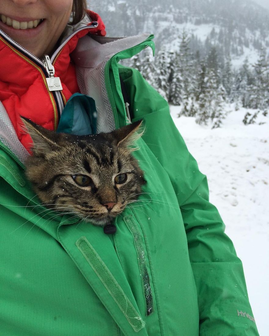 Abandoned-Kitties-Found-Their-Humans-and-Now-They-go-on-Epic-Adventures-With-Them-6