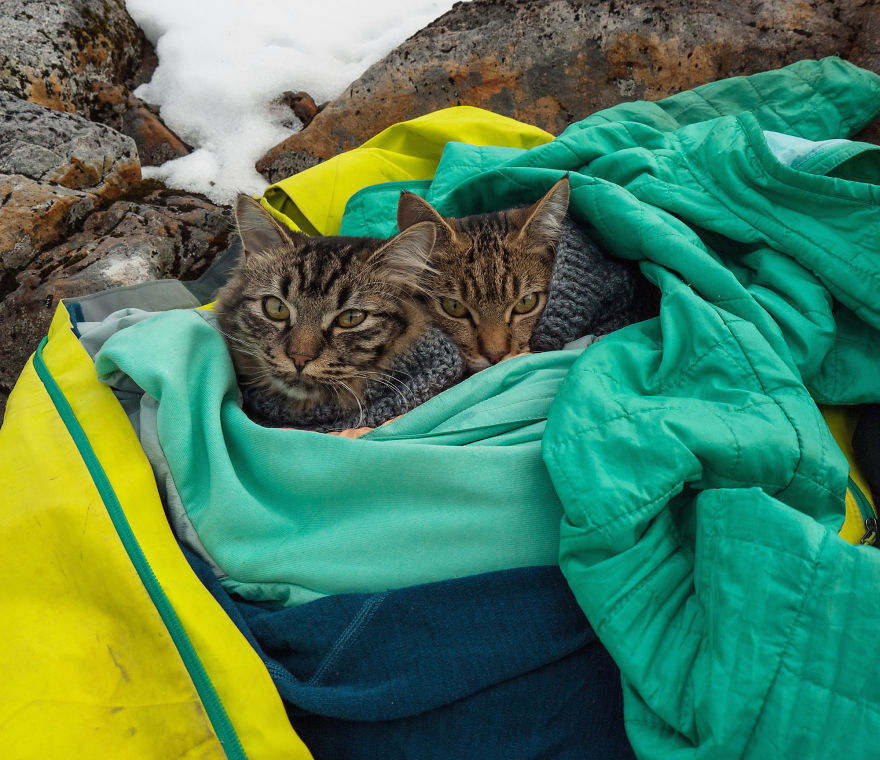 Abandoned-Kitties-Found-Their-Humans-and-Now-They-go-on-Epic-Adventures-With-Them-9