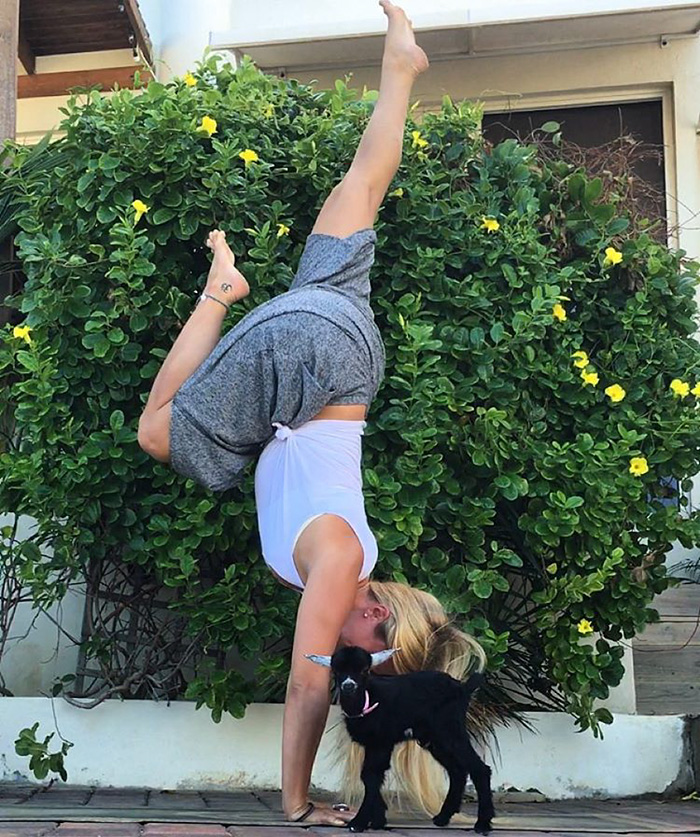 Meet-the-Most-Adorable-Yoga-Partners-Ever-2