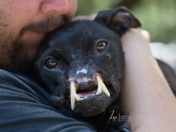 Meet-the-Real-Life-Heroes-People-That-Gave-New-Lives-to-Animals-6