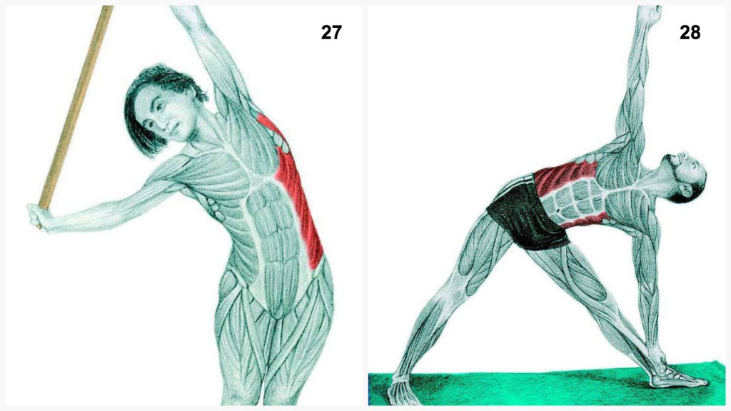 The-Art-of-Stretching-13