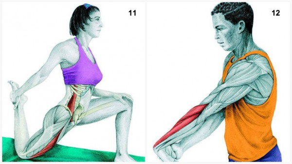 The Art of Stretching: Lower Your Risk of Pain and Injury with These 30 ...