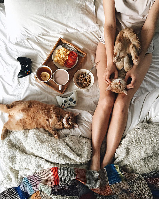 Two-Adopted-Ginger-Cats-are-Taking-Over-the-Internet-With-Their-Cuteness-17