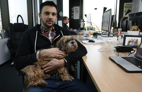 Employees-Allowed-to-Bring-Their-Dogs-to-Work-2