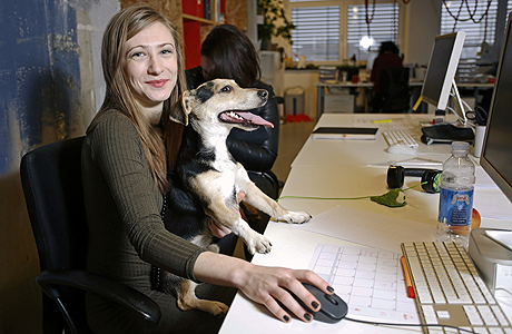 Employees-Allowed-to-Bring-Their-Dogs-to-Work-3