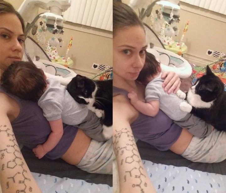 This-Cat-Has-Been-Guarding-Her-Little-Baby-Since-Before-He-Was-Born-3