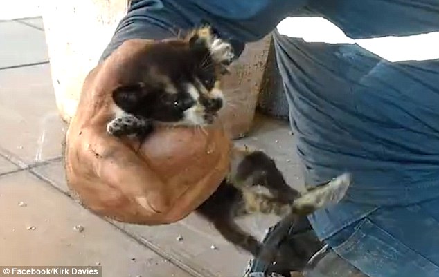 Incredible-Rescue-Story-They-Heard-Crying-Underground-And-Refused-To-Ignore-It-3