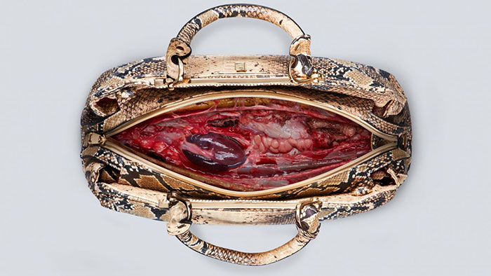 Behind-the-Leather-PETA’s-New-Project-Shocked-People-in-Bangkok-2