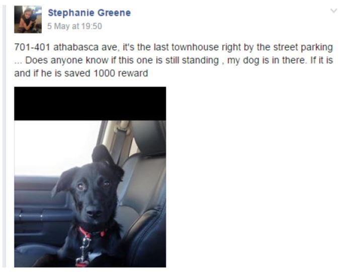 Family-Begs-Internet-to-Save-This-Dog-Trapped-in-a-Wildfire-in-Canada-1