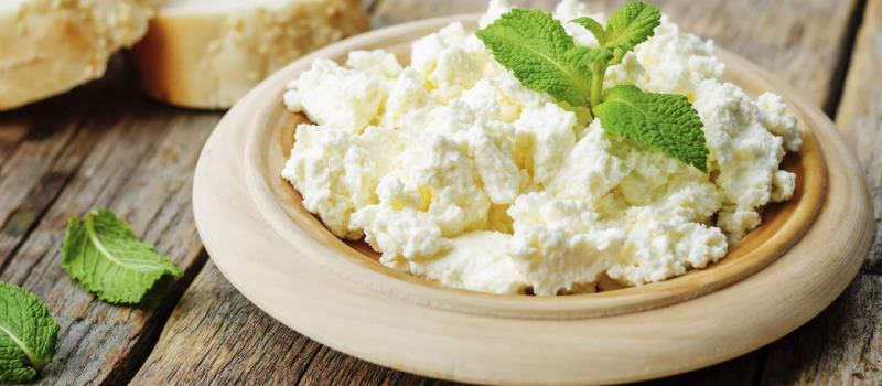 8 Surprising Benefits Of Cottage Cheese Including Weight Loss