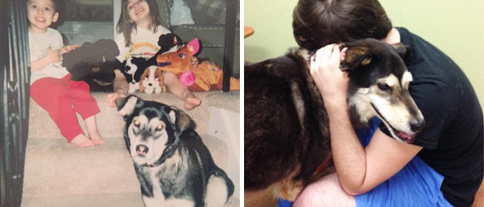 Heartbreaking-First-And-Last-Pictures-Of-Pets-That’ll-Make-You-Want-To-Hug-Your-Pet-17