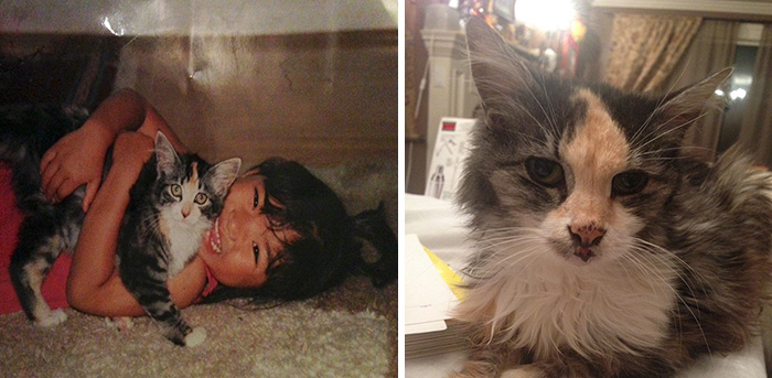 Heartbreaking-First-And-Last-Pictures-Of-Pets-That’ll-Make-You-Want-To-Hug-Your-Pet-18