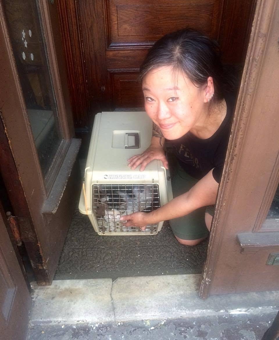 Heartbreaking-This-Cat-Was-Abandoned-With-His-Belongings-3